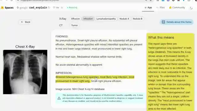 google-unveils-gemma-models-advancing-tech-with-multimodal-capabilities