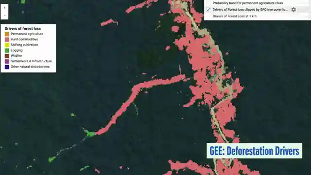 google-deepmind-ai-for-nature-conservation-and-global-forest-mapping